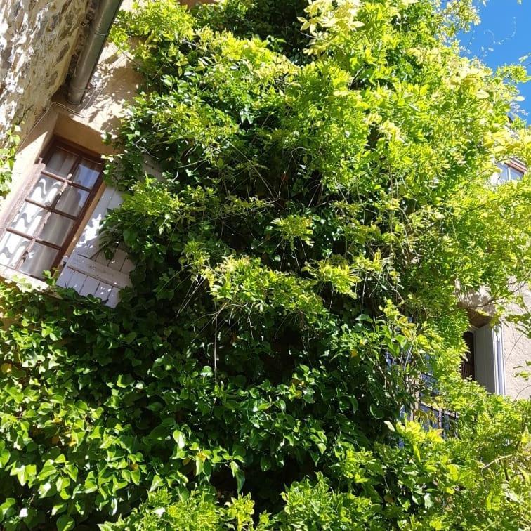 Le Balcon Lägenhet Camps-sur-l'Agly Exteriör bild