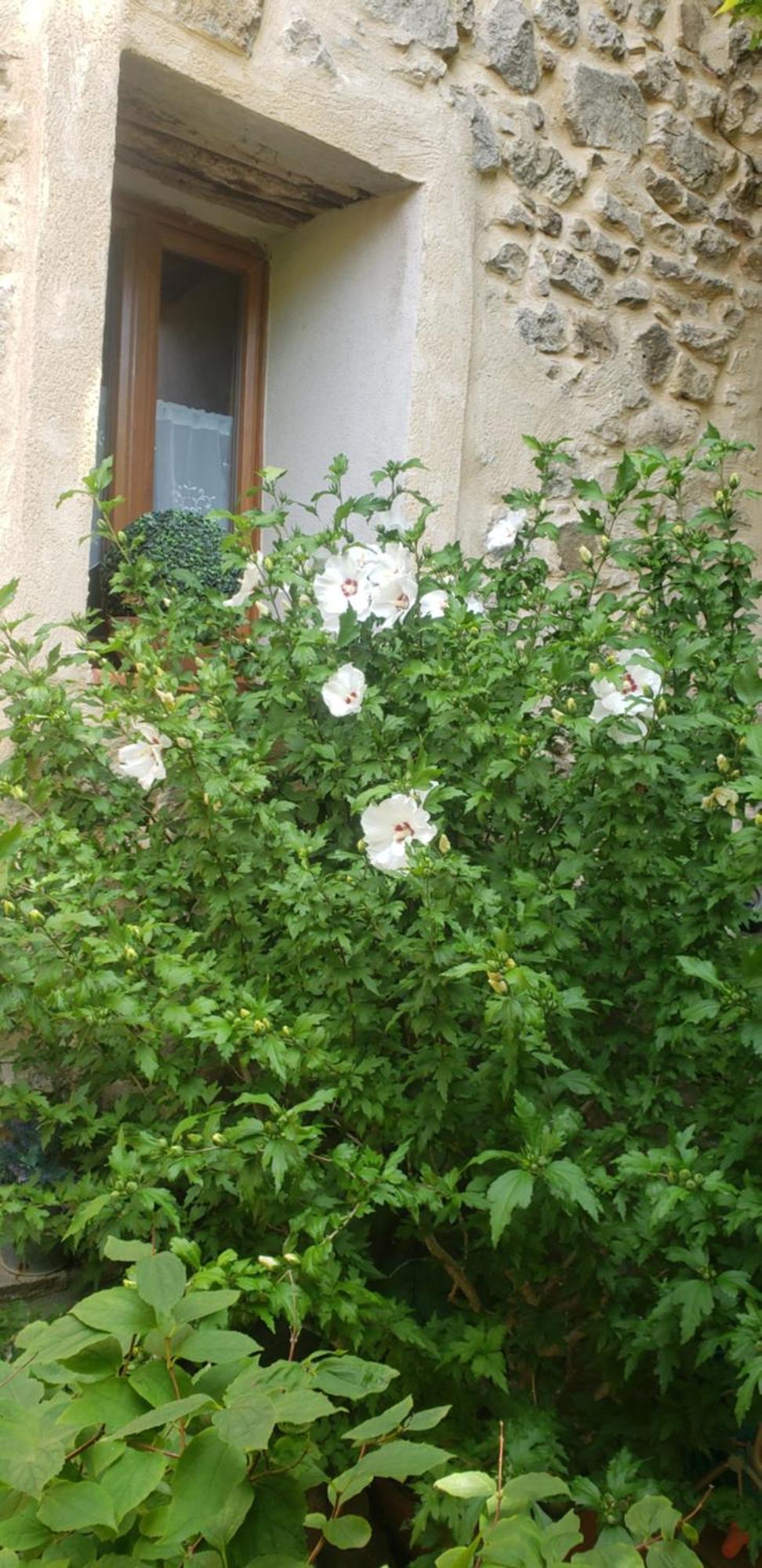 Le Balcon Lägenhet Camps-sur-l'Agly Exteriör bild